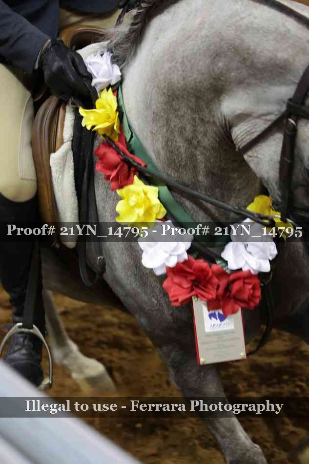 Proof 21YN_14795