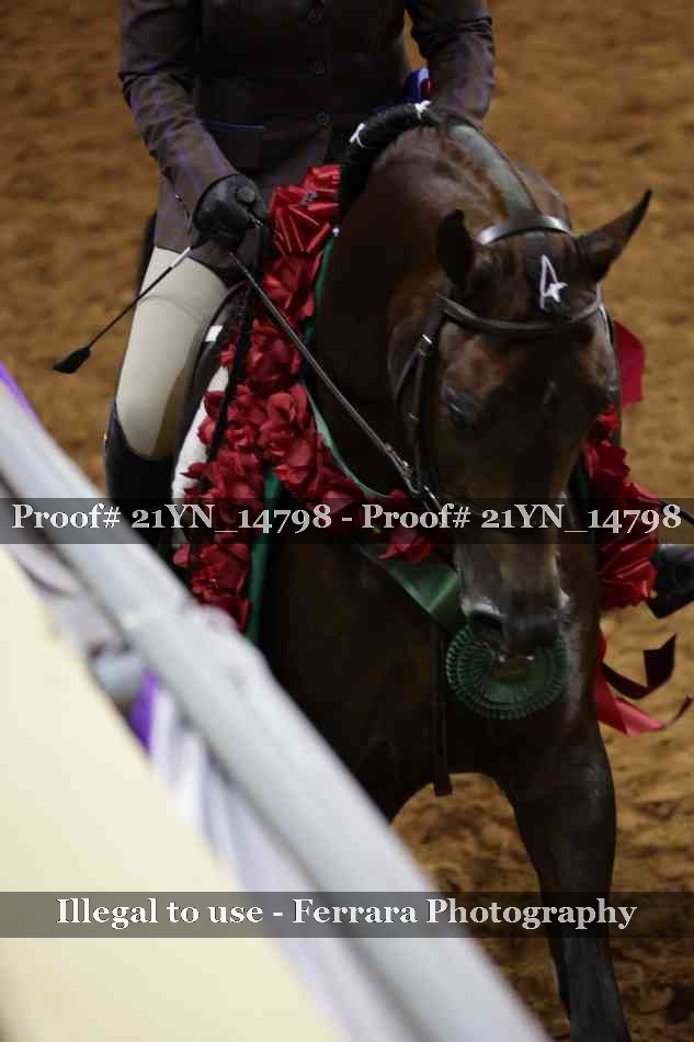 Proof 21YN_14798