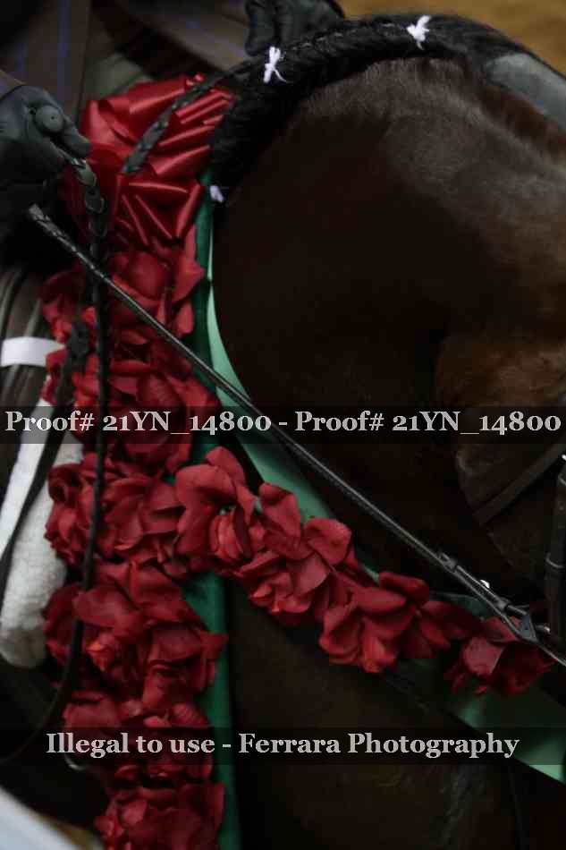 Proof 21YN_14800
