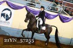 21YN_57255 proof