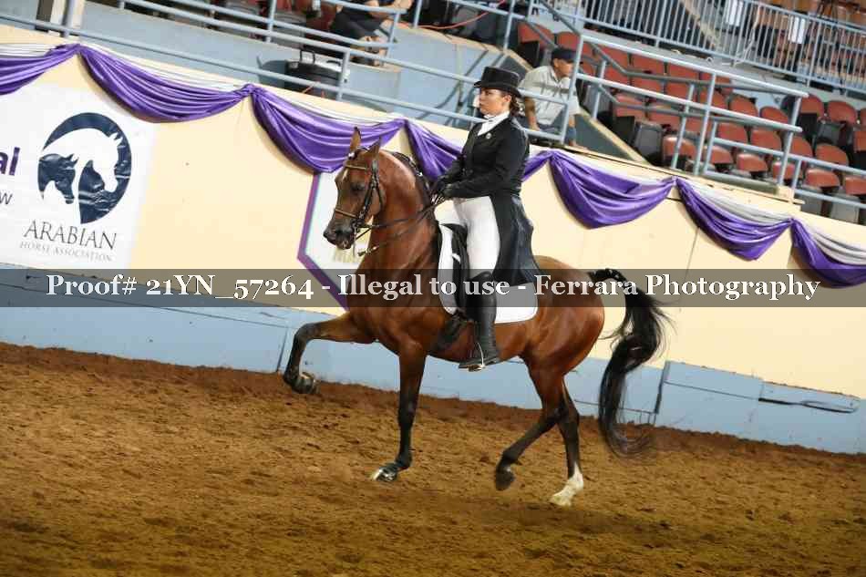 Proof 21YN_57264
