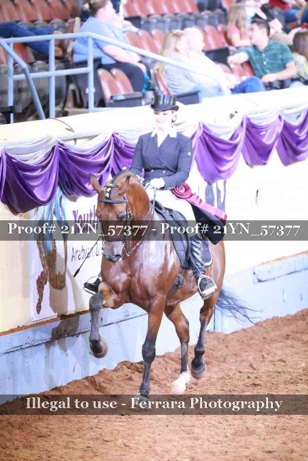 Proof 21YN_57377