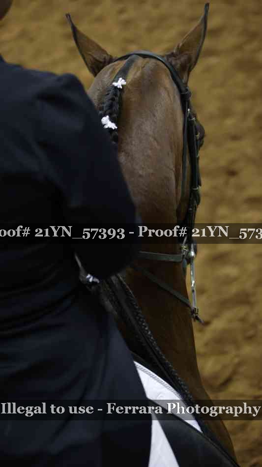 Proof 21YN_57393