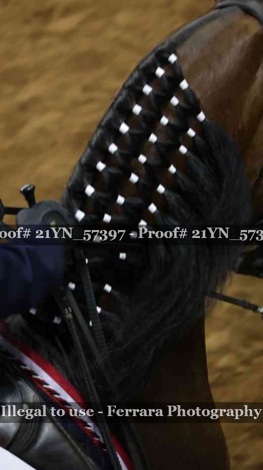 Proof 21YN_57397