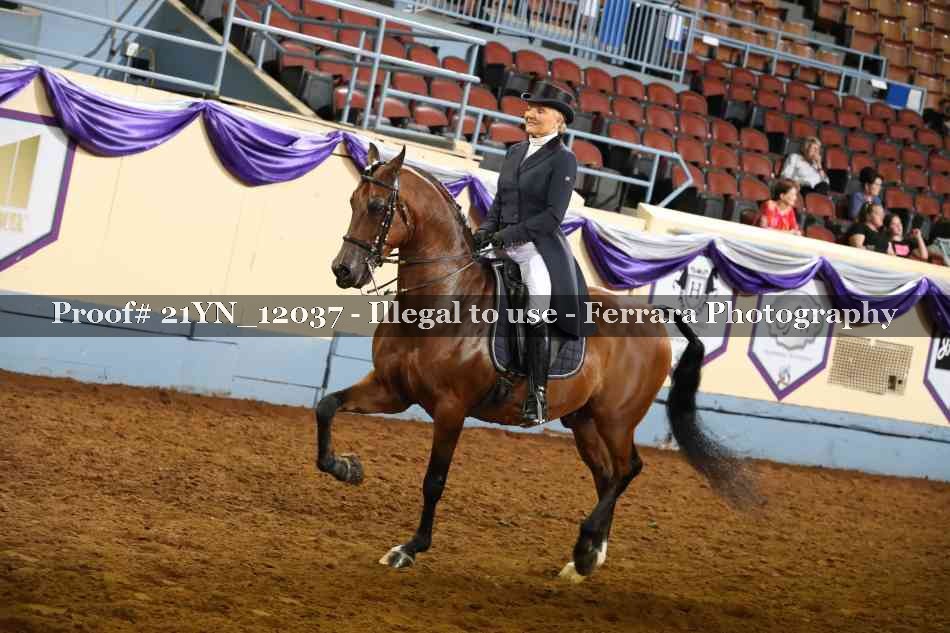 Proof 21YN_12037