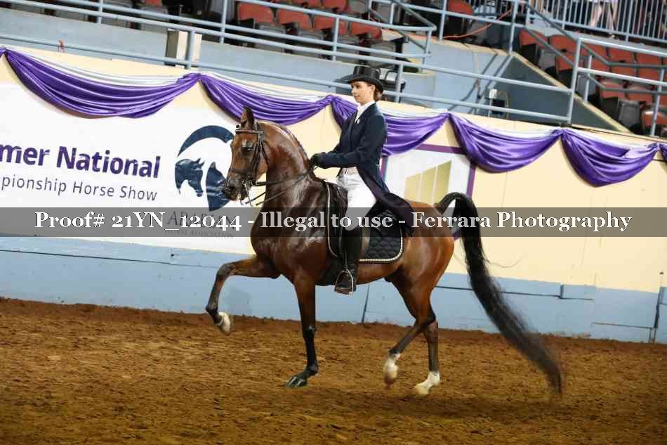 Proof 21YN_12044