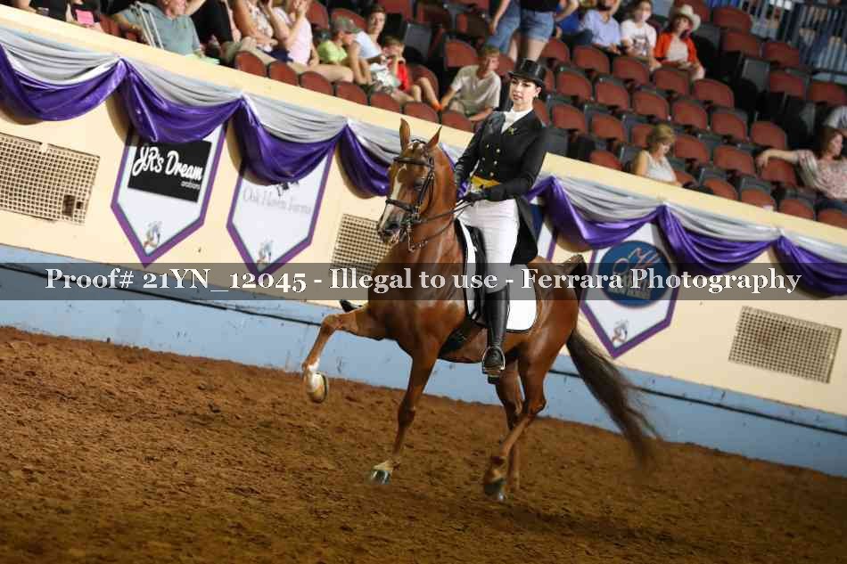 Proof 21YN_12045