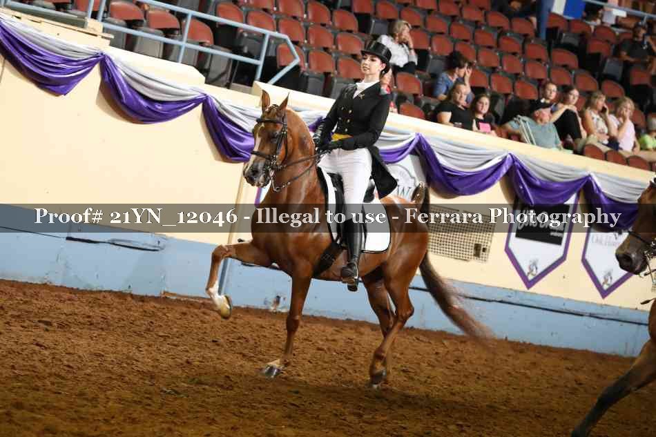 Proof 21YN_12046