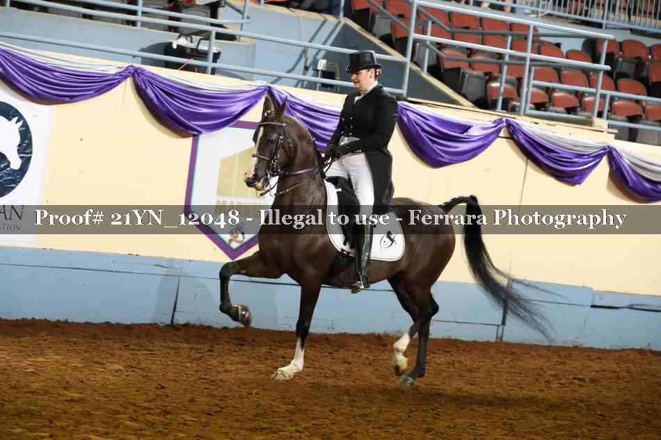 Proof 21YN_12048