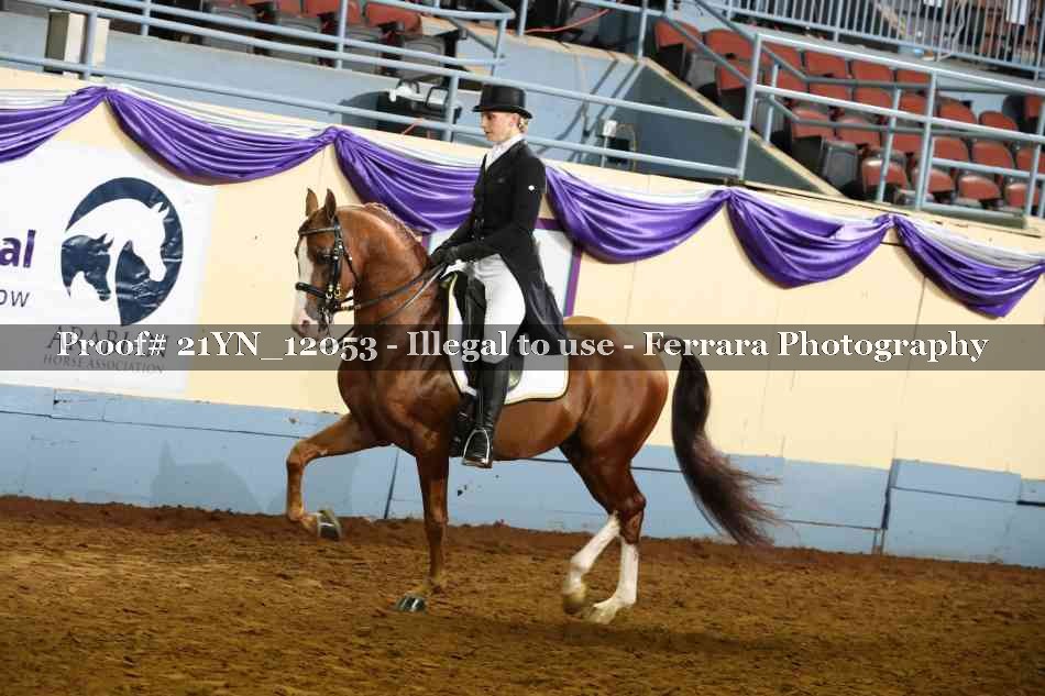 Proof 21YN_12053