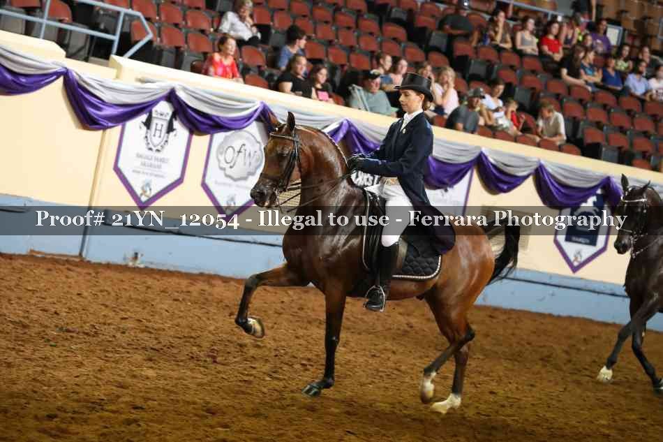 Proof 21YN_12054