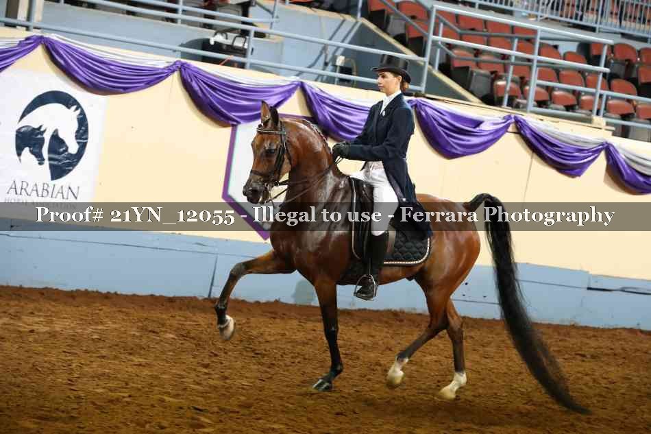 Proof 21YN_12055