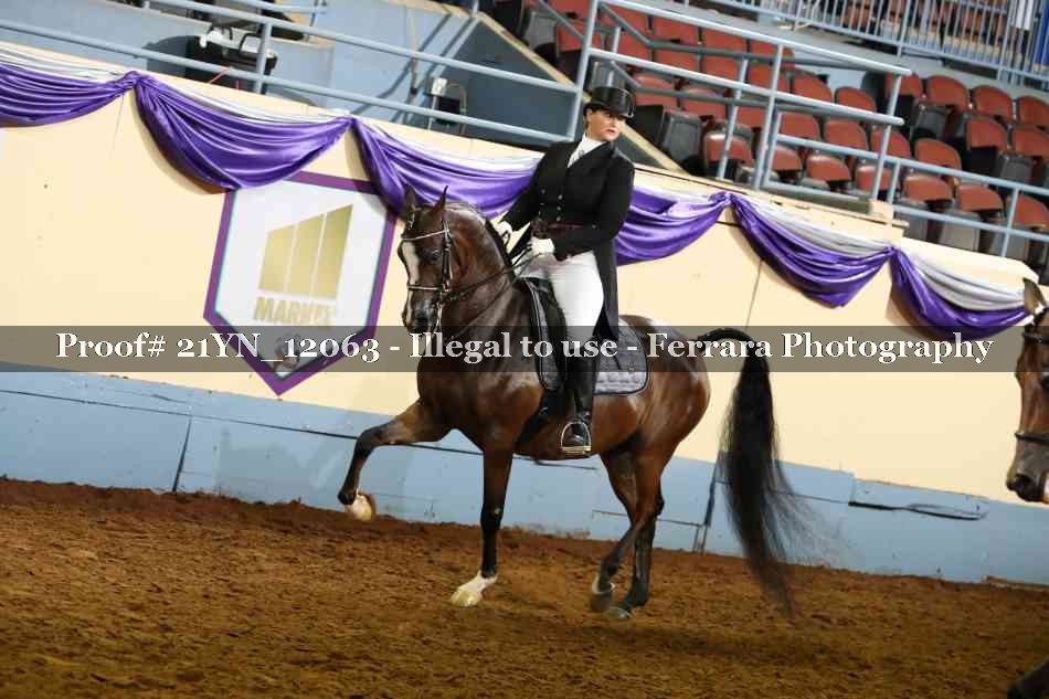 Proof 21YN_12063