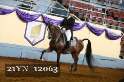 21YN_12063 proof