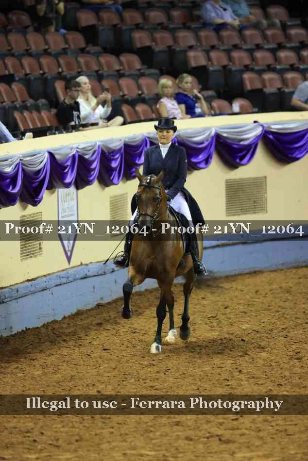 Proof 21YN_12064