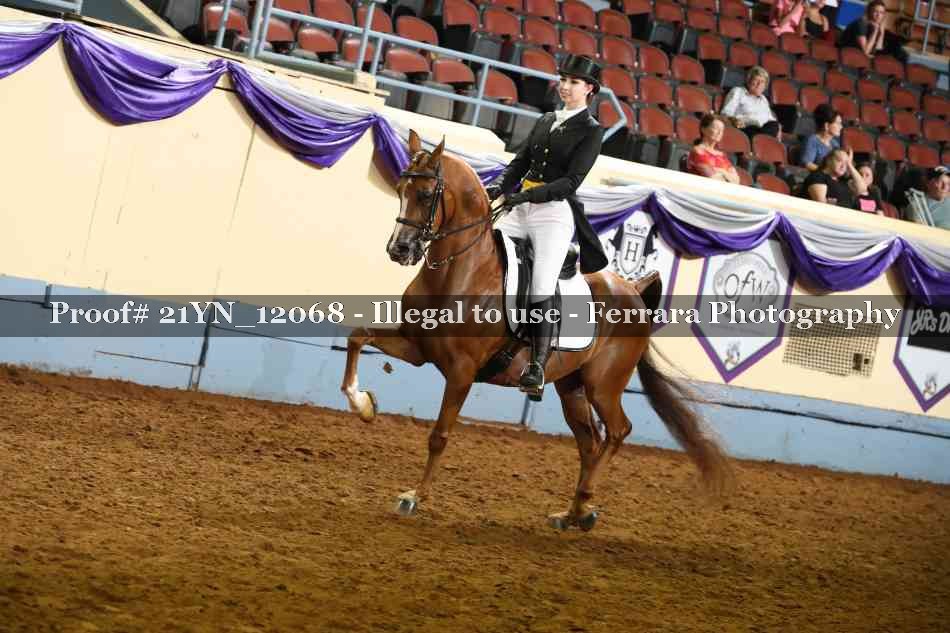 Proof 21YN_12068