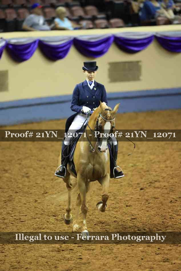 Proof 21YN_12071