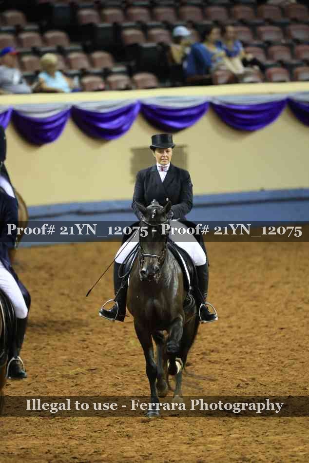 Proof 21YN_12075