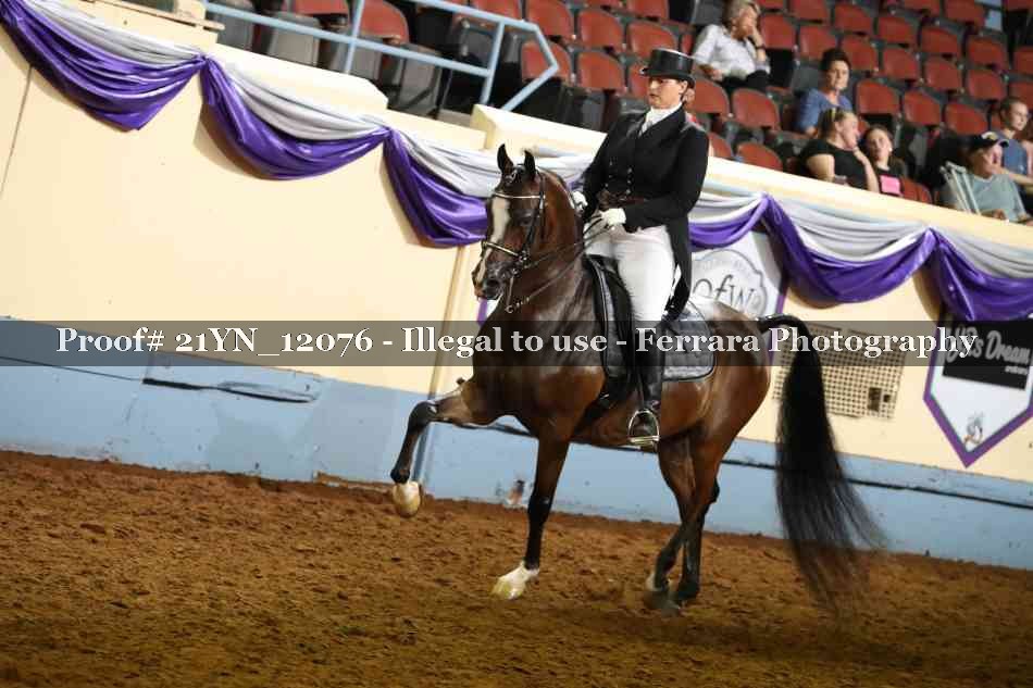 Proof 21YN_12076