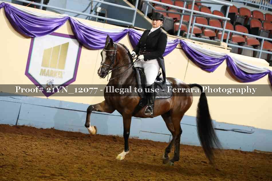 Proof 21YN_12077