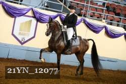 21YN_12077 proof