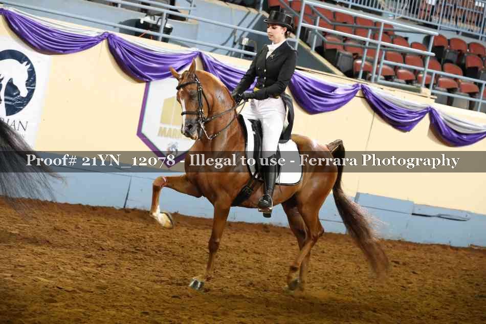 Proof 21YN_12078