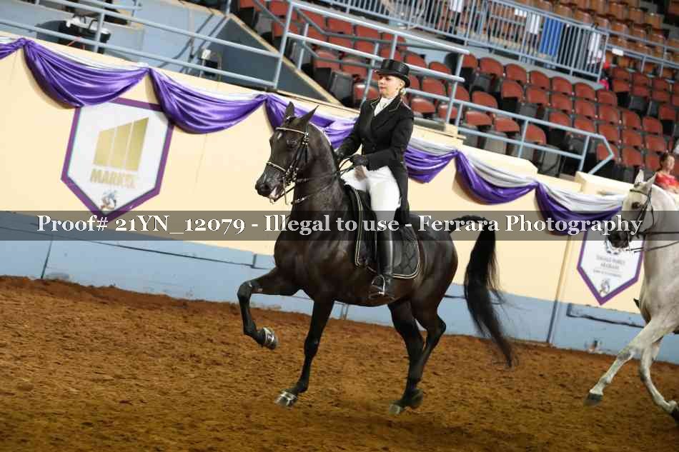 Proof 21YN_12079
