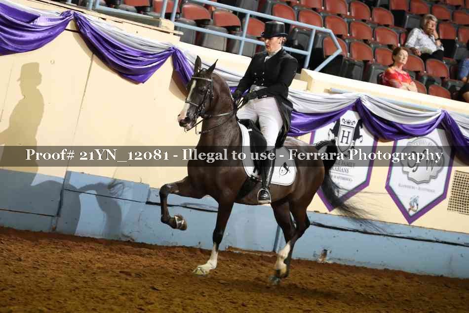 Proof 21YN_12081