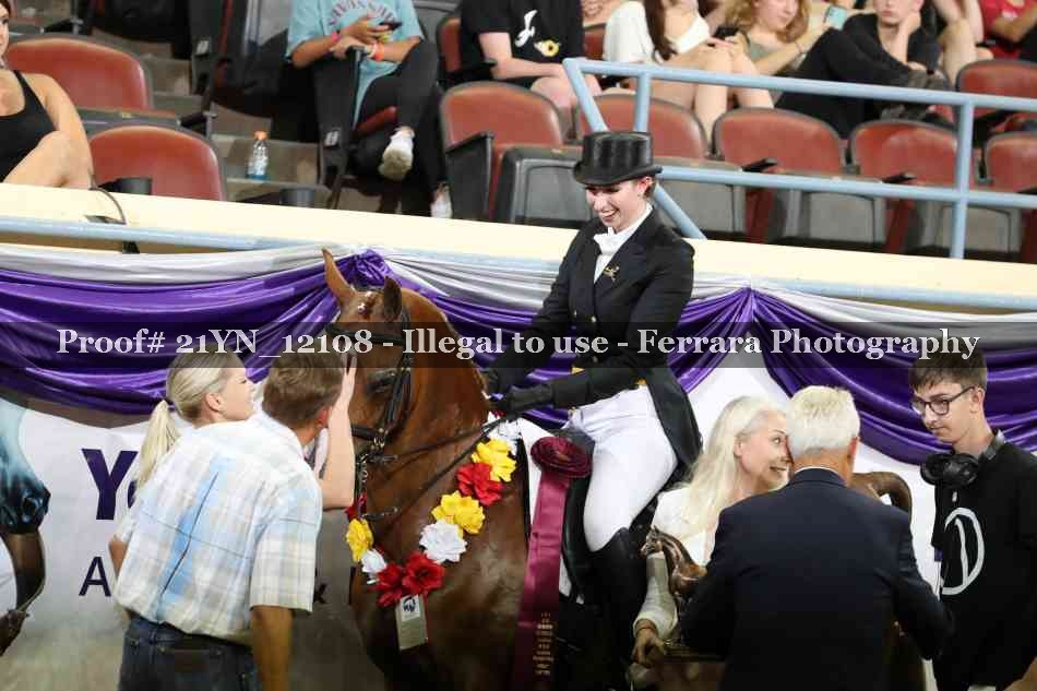 Proof 21YN_12108