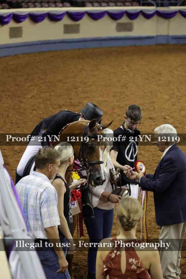 Proof 21YN_12119