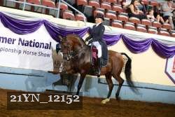 21YN_12152 proof
