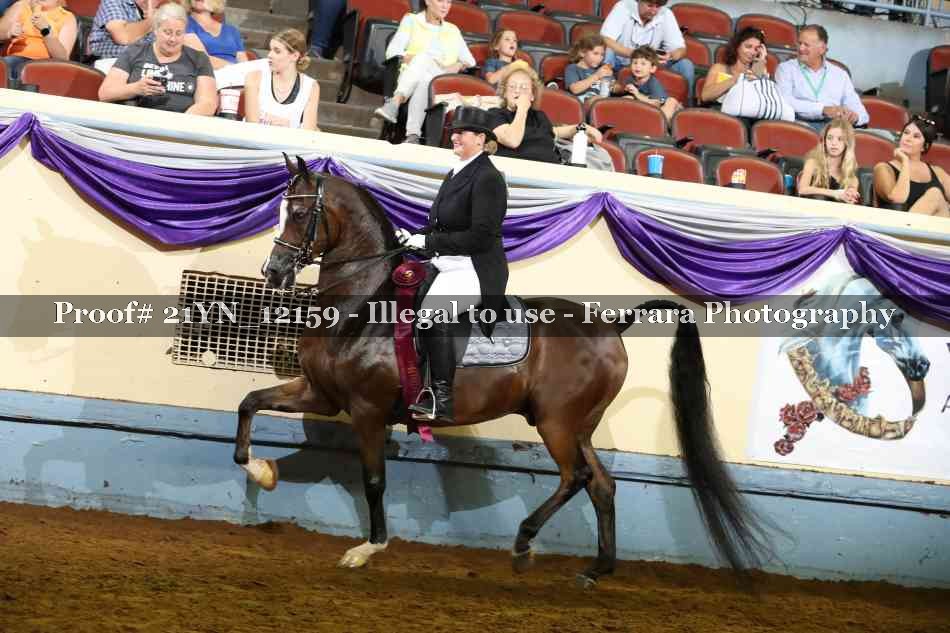 Proof 21YN_12159