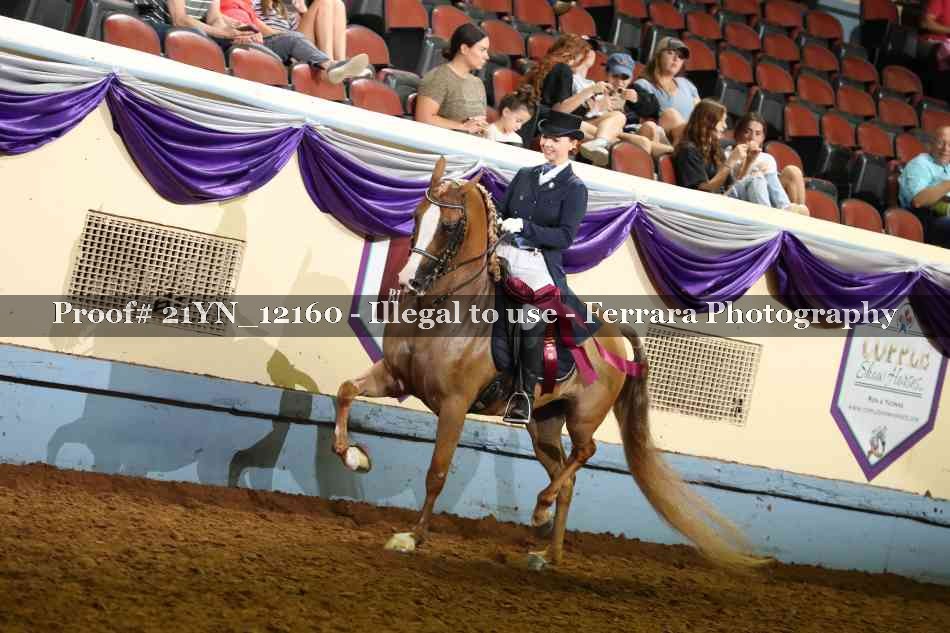 Proof 21YN_12160