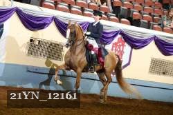 21YN_12161 proof