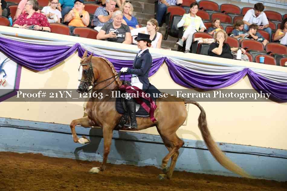 Proof 21YN_12163