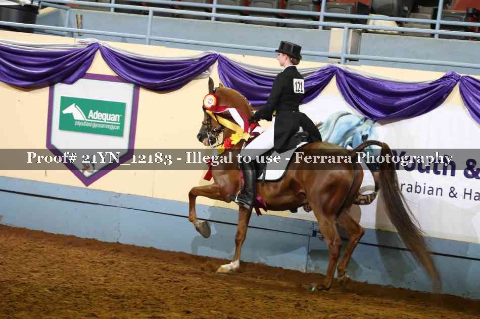 Proof 21YN_12183