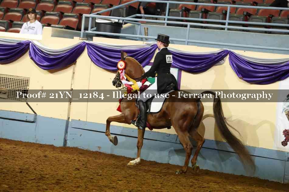 Proof 21YN_12184
