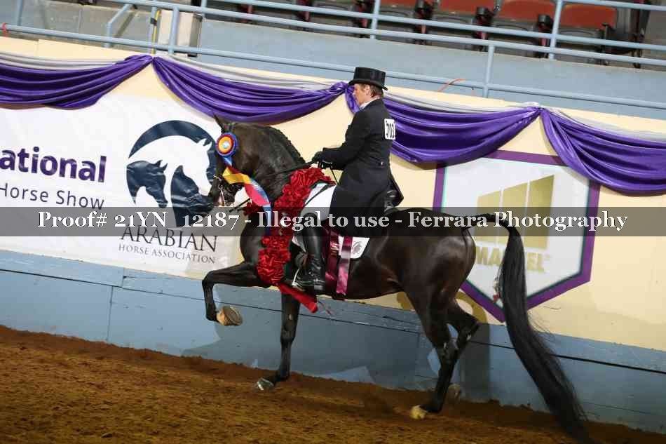 Proof 21YN_12187
