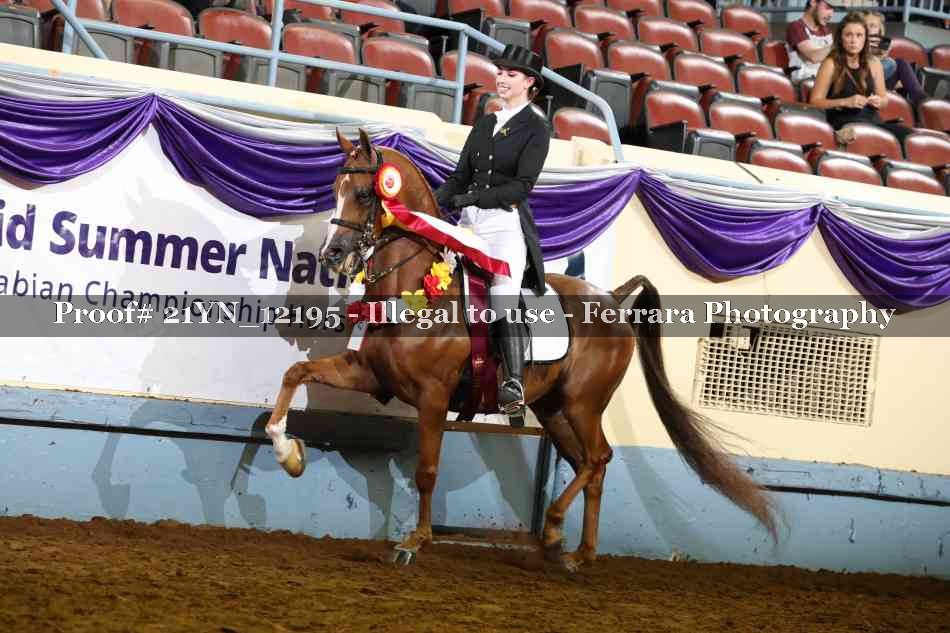 Proof 21YN_12195