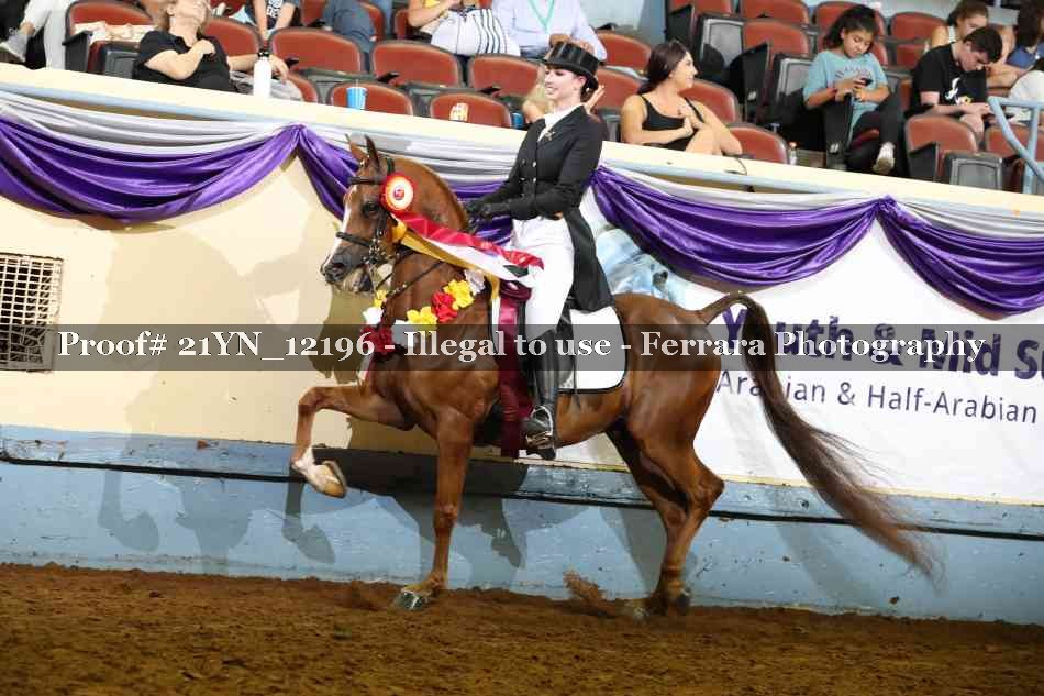 Proof 21YN_12196