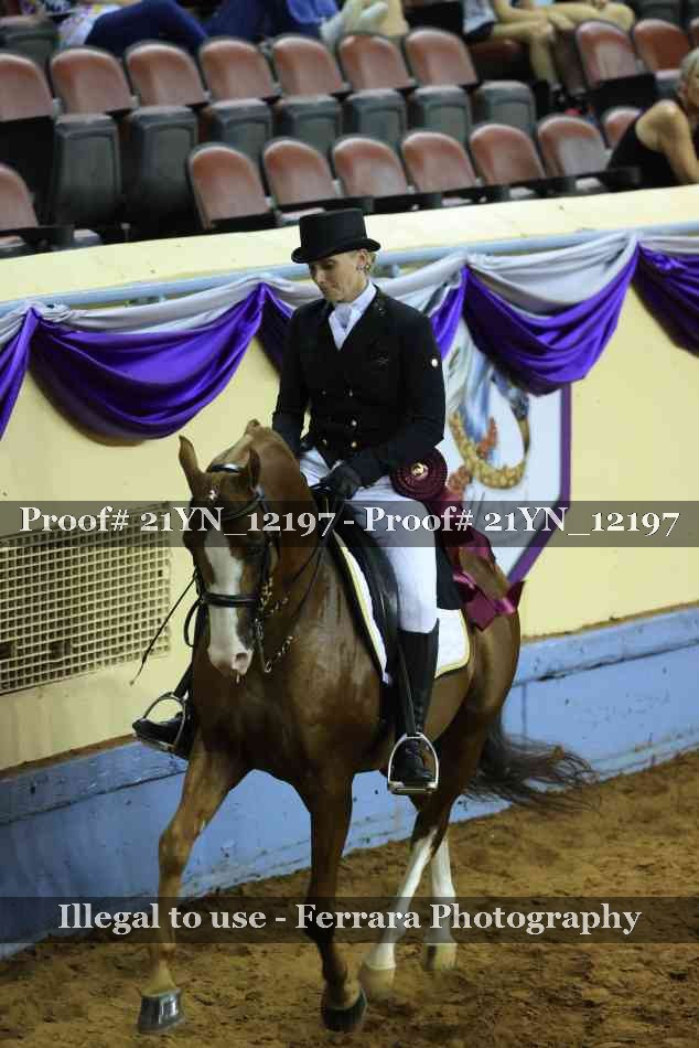 Proof 21YN_12197