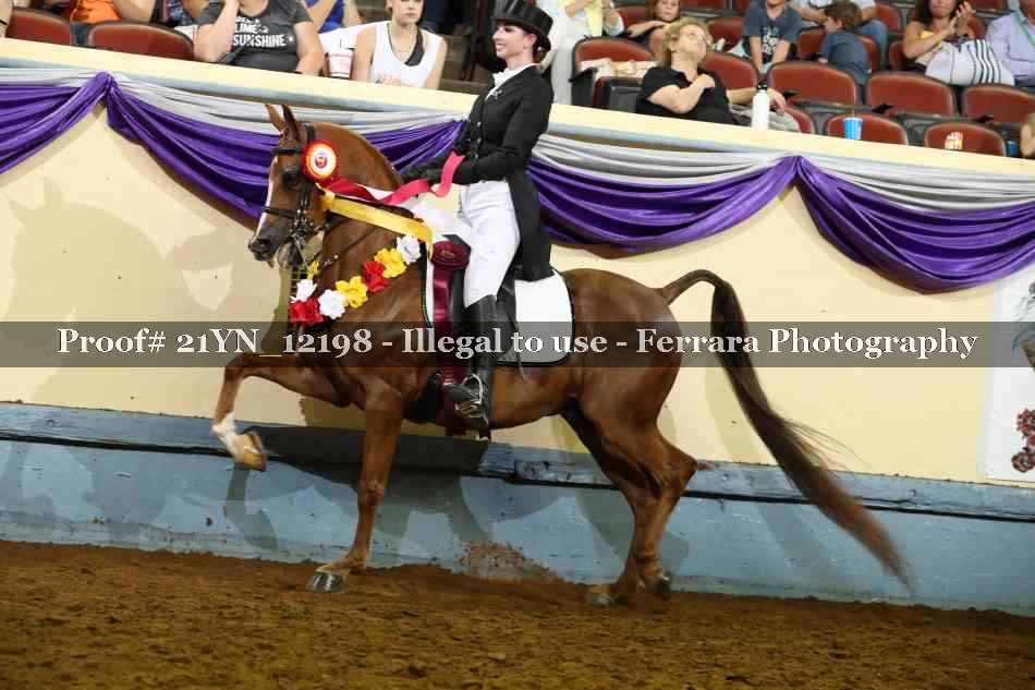 Proof 21YN_12198