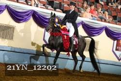 21YN_12202 proof