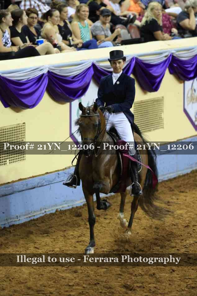 Proof 21YN_12206