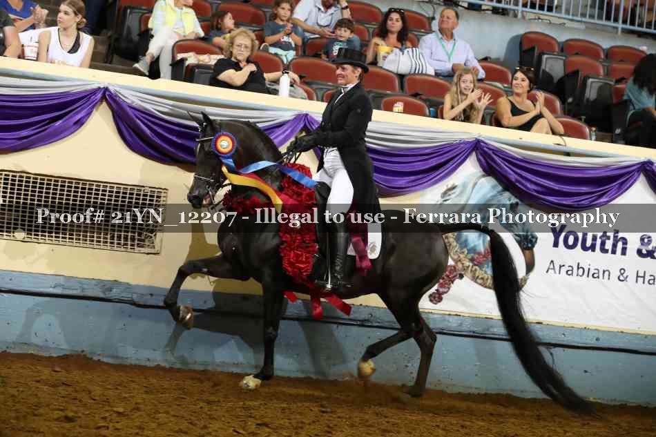 Proof 21YN_12207