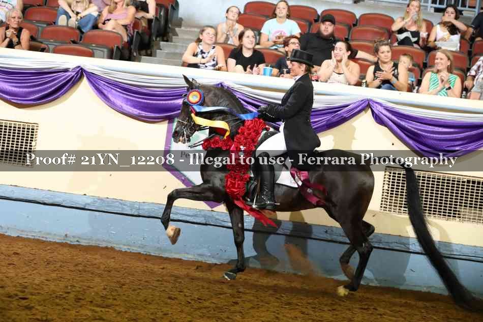 Proof 21YN_12208