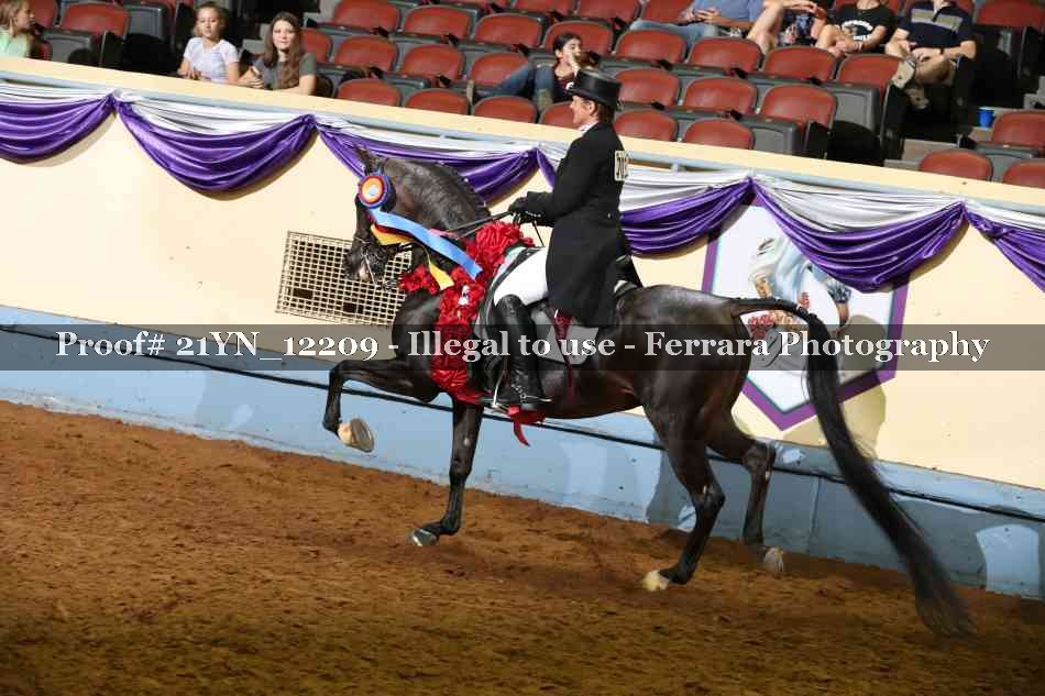 Proof 21YN_12209