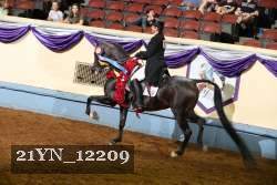 21YN_12209 proof