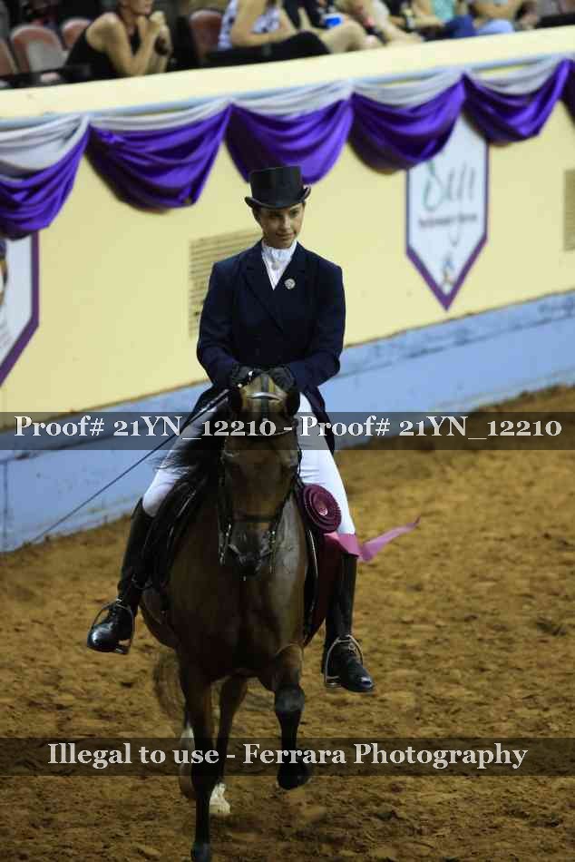 Proof 21YN_12210