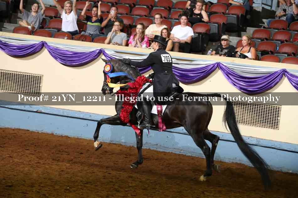 Proof 21YN_12211